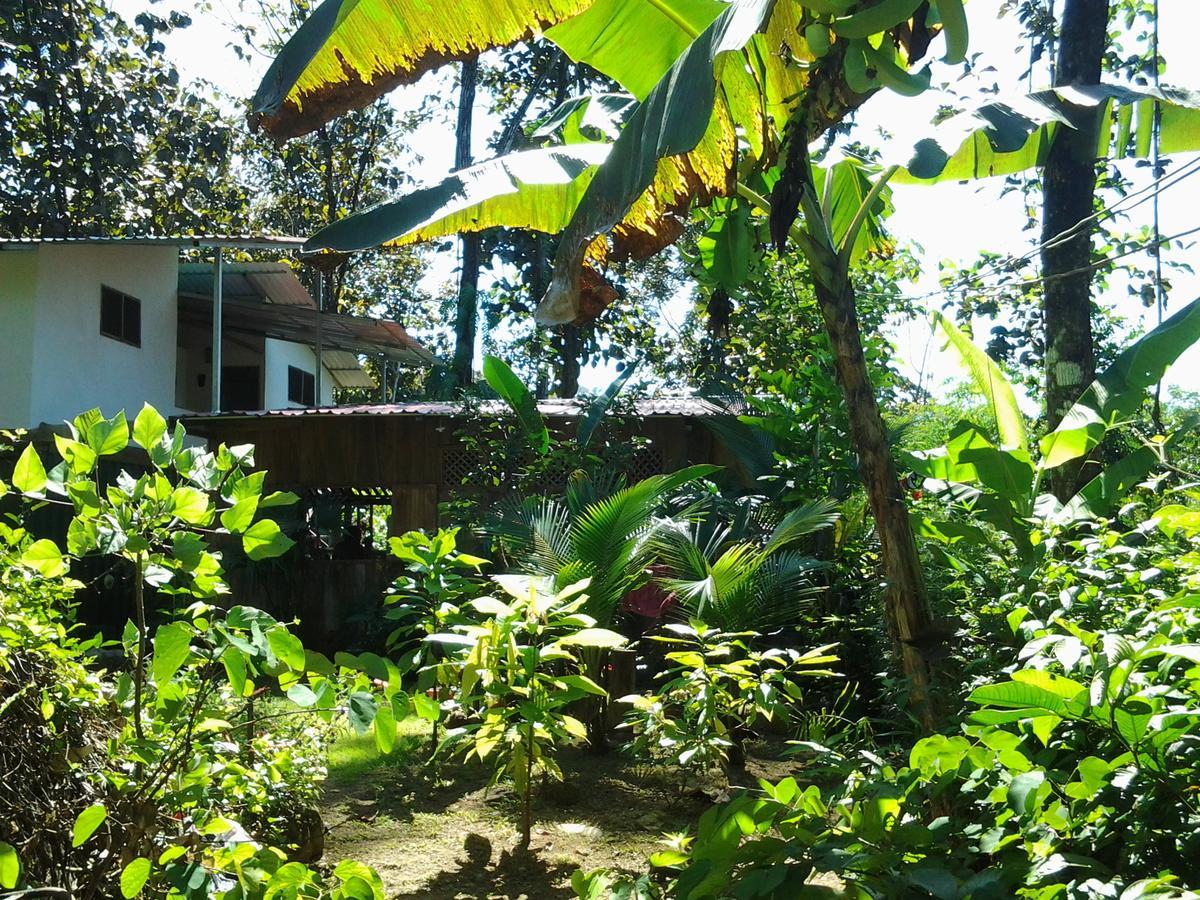 Hotel Osa de Rio Uvita Exterior foto